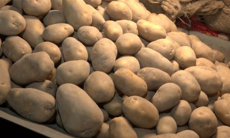 কাল থেকে ৪০ টাকায় মিলবে টিসিবির আলু