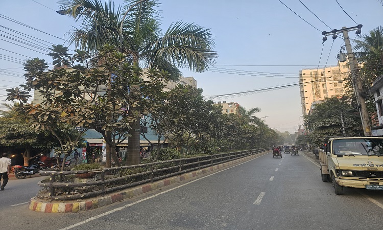 পরিবেশ রক্ষা ও সৌন্দর্যবর্ধনে রাসিকের নানা উদ্যোগ