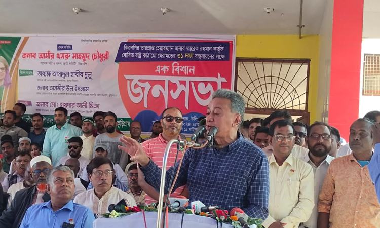 ক্ষমতার বণ্টন ও ভারসাম্য রক্ষা করতে হবে : আমির খসরু