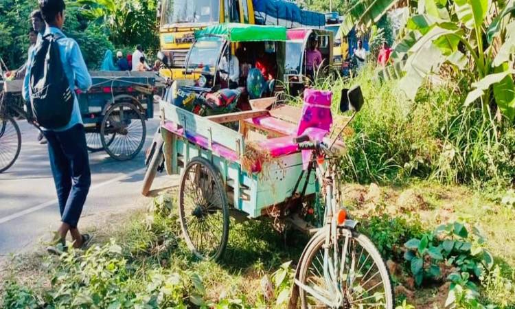 ঘোড়াঘাটে কাভার্ডভ্যান চাপায় ভ্যান চালকের মৃত্যু, আহত ২