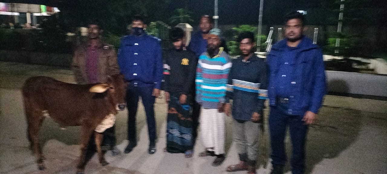 চিলমারীতে তিন গরু চোর আটক