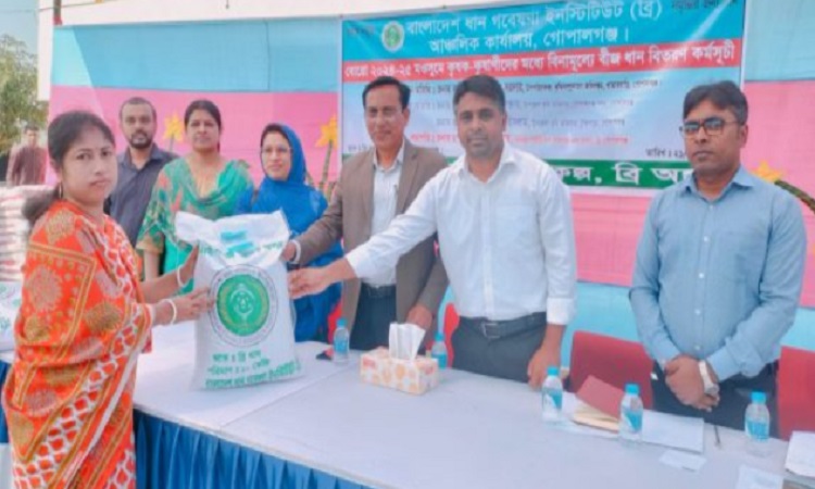 আট হাজার কৃষক পেল ব্রি ধান ১০০-এর বীজ