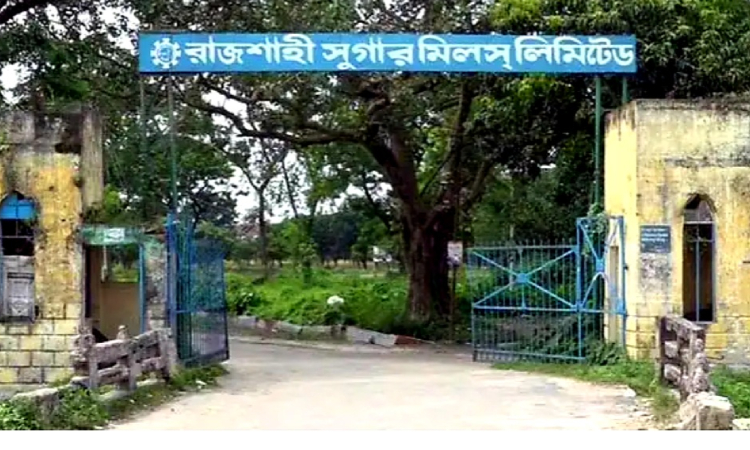 রাজশাহী সুগার মিল খুলছে ২৯ নভেম্বর