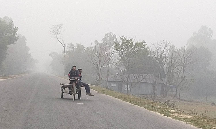 শনিবার কুয়াশার সঙ্গে বাড়বে শীত