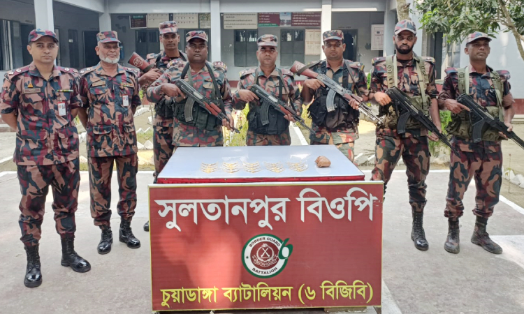 চুয়াডাঙ্গা সীমান্ত থেকে ২২টি সোনার গহনা উদ্ধার
