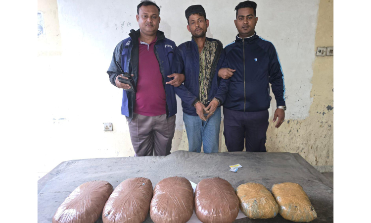 আশুগঞ্জে গাঁজা ও পিকআপসহ গ্রেফতার ১