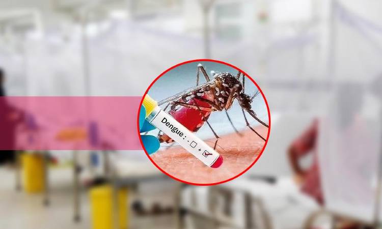 ডেঙ্গুতে আরও ২ জনের মৃত্যু, হাসপাতালে ভর্তি ৯৩৪