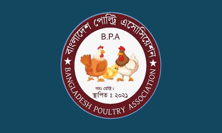 মুরগির বাচ্চায় দিনে ৯ কোটি টাকা হাতিয়ে নিচ্ছে সিন্ডিকেট