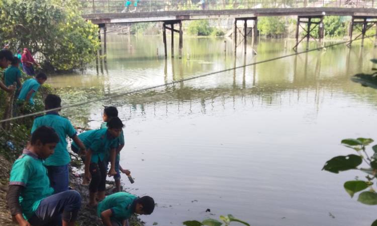 সরকা‌রি খা‌লে বিষ প্রয়ো‌গে আমন ধা‌নের ক্ষতির আশঙ্কা