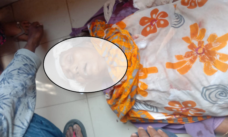 কুষ্টিয়ায় ভ্যান-ট্রলি সংঘর্ষে দুই নারী নিহত