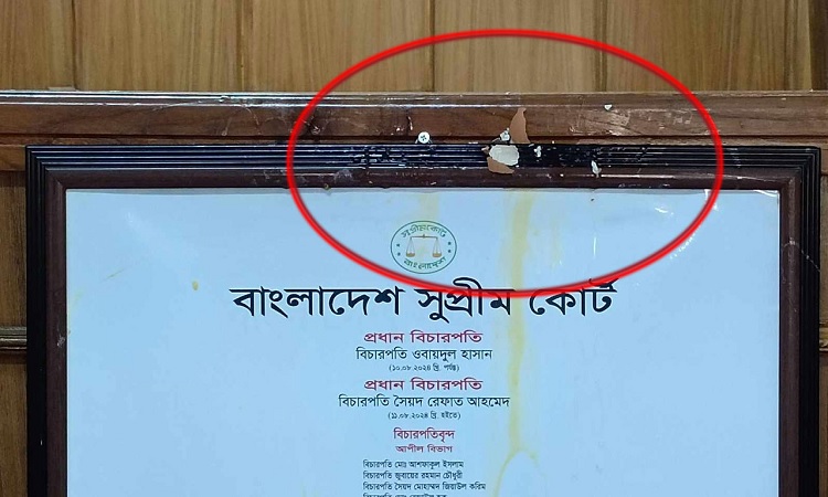 জিয়াউর রহমানকে নিয়ে মন্তব্য, বিচারপতিকে ডিম ছুড়লেন আইনজীবীরা