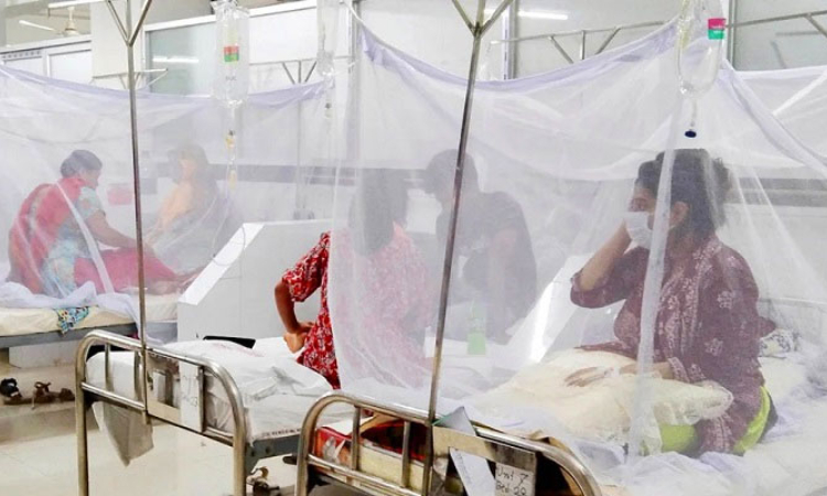 ডেঙ্গুতে ৭ দিনে ৪৭ জনের প্রাণহানি