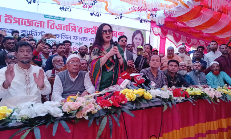 নির্বাচন আদায়ে ব্যর্থ হলে সব অর্জন ধুলিসাৎ হবে: রুমিন ফারহানা