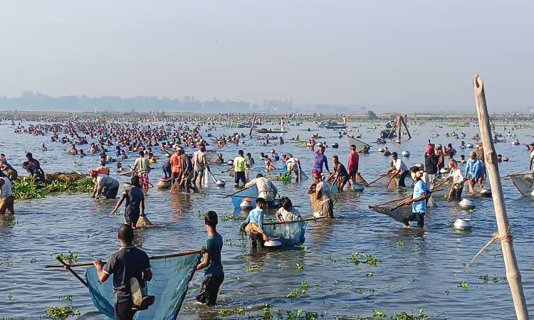 ভাঙ্গুড়ায় বাউৎ উৎসবে মেতেছে মাছ শিকারিরা