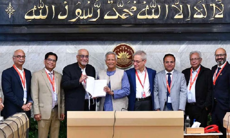 অর্থনৈতিক শ্বেতপত্র কমিটির চূড়ান্ত প্রতিবেদন জমা