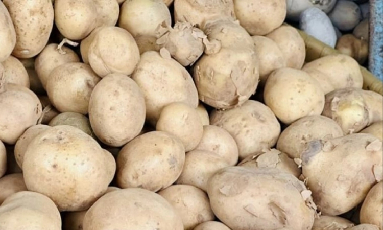 হিলি বন্দর দিয়ে ভারত থেকে আলু আমদানি বন্ধ