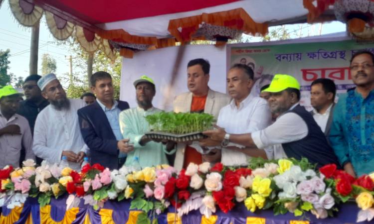 কুড়িগ্রামে বন্যায় ক্ষতিগ্রস্ত কৃষকদের মাঝে সবজির চারা বিতরণ
