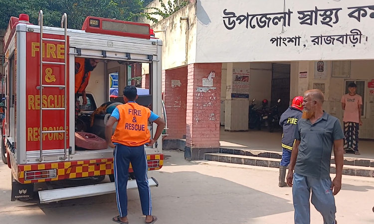 এক দিনে কুকুরের কামড়ে শিশুসহ আহত ১০