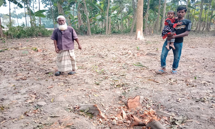 জরুরি সেবা ৯৯৯-এ কল দিয়েও রক্ষা হলো না অর্ধশতাধিক গাছ