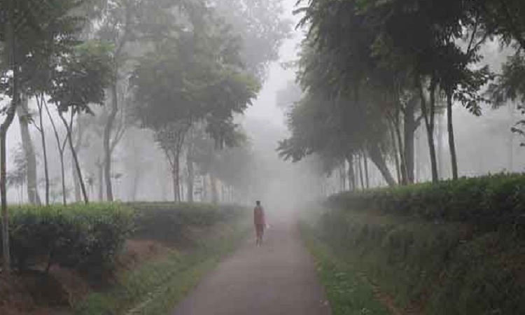 সারা দেশে তাপমাত্রা কমতে পারে ১ থেকে ২ ডিগ্রি