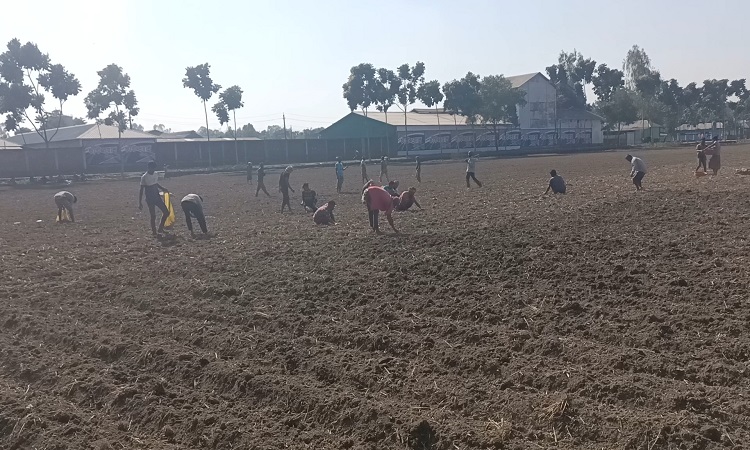 টানা এক সপ্তাহ দেশের সর্বোনিম্ন তাপমাত্রা তেঁতুলিয়ায়