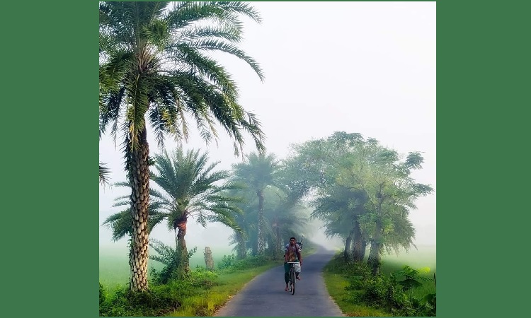 চুয়াডাঙ্গায় কমছে তাপমাত্রা, বাড়ছে শীতের তীব্রতা