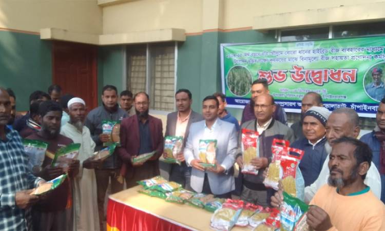 ভোলাহাটে বিনামূল্যে ধানের বীজ বিতরণ উদ্বোধন