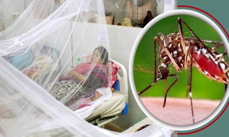 ডেঙ্গুতে আরও ৫ জনের মৃত্যু, হাসপাতালে ভর্তি ৫৭০