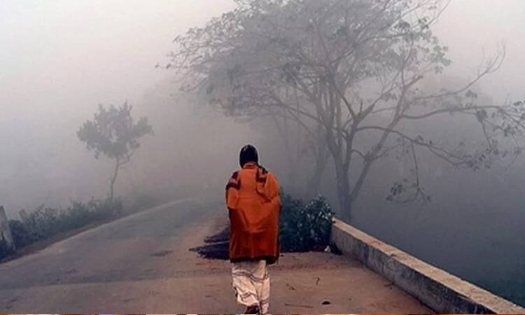 ৩ ডিগ্রি কমতে পারে দিন-রাতের তাপমাত্রা
