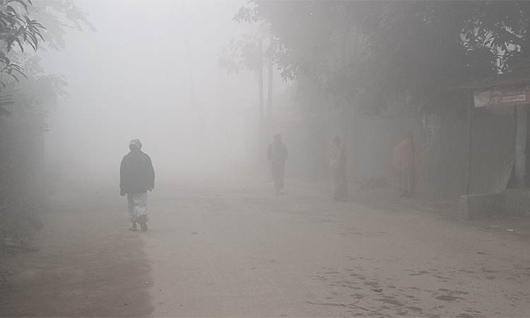 কুয়াশার চাদরে ঢেকেছে উত্তরের জনপদ