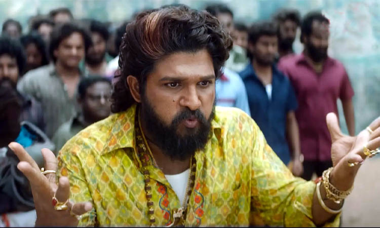 ‘পুষ্পা টু’ দেখতে গিয়ে নারীর মৃত্যু, নায়কের বিরুদ্ধে মামলা