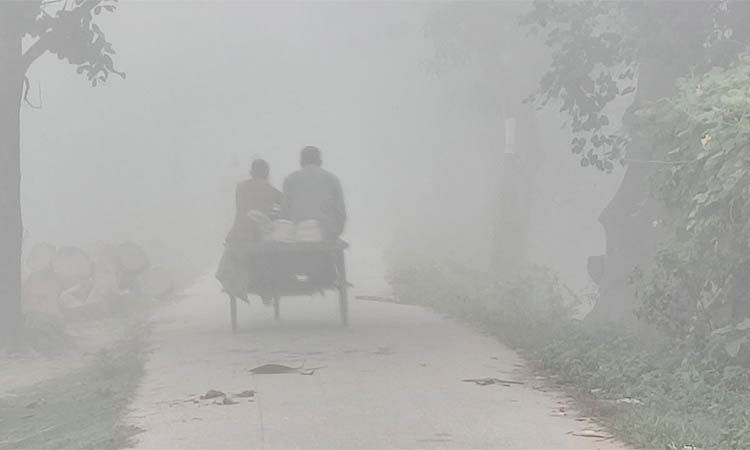ঘন কুয়াশায় ‌ঢাকা পড়েছে দিনাজপুর, ১০ ডিগ্রিতে তাপমাত্রা