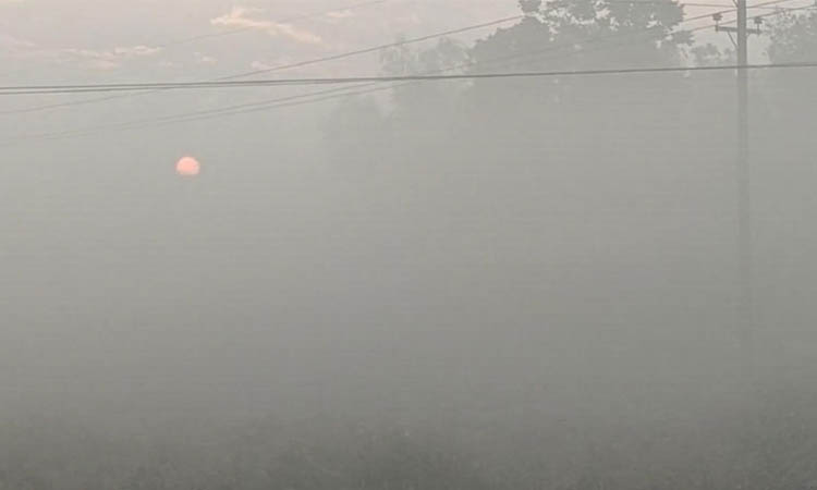 নওগাঁয় তাপমাত্রা কিছুটা বেড়ে ১০.৬ ডিগ্রিতে