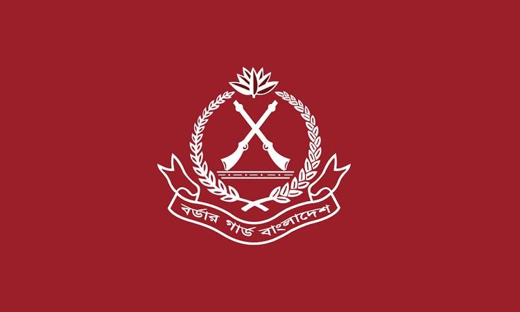 সীমান্তে ভারত-মিয়ানমারের ২৬০৮ নাগরিক আটক