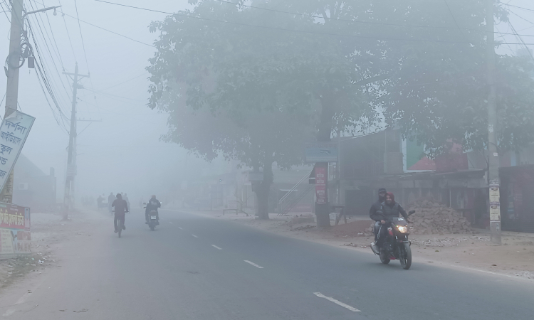 চুয়াডাঙ্গায় বাড়ছে শীতের প্রকোপ, হেডলাইট জ্বালিয়ে যানবাহন চলাচল