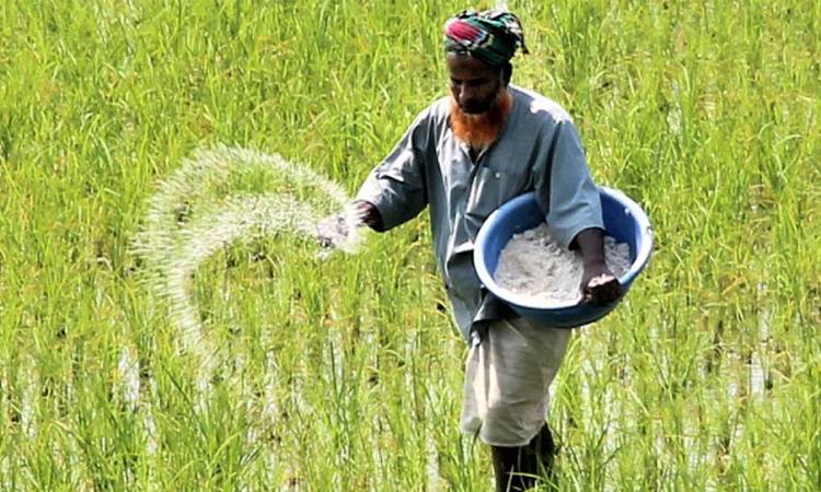 রাশিয়াসহ তিন দেশ থেকে আসবে ৬৬১ কোটি টাকার সার