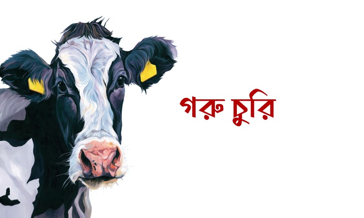 দৌলতপুরে ঘরের তালা ভেঙে ২টি গরু চুরি