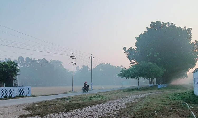 চুয়াডাঙ্গায় তাপমাত্রার পারদ কমে ১০ ডিগ্রিতে