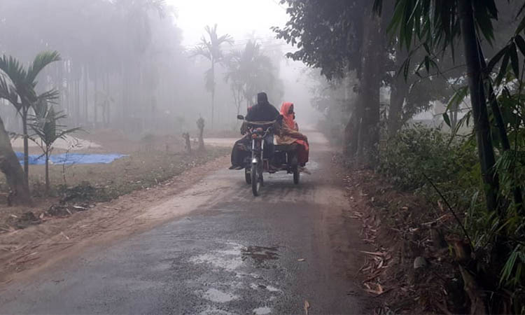 শৈত্যপ্রবাহে সর্বনিম্ন তাপমাত্রায় নামল তেঁতুলিয়া