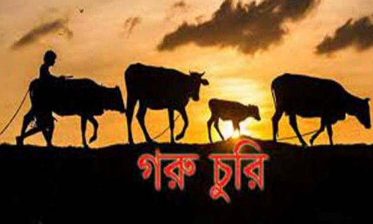 রাণীনগরে এক রাতে ২ কৃষকের ৫ গরু চুরি
