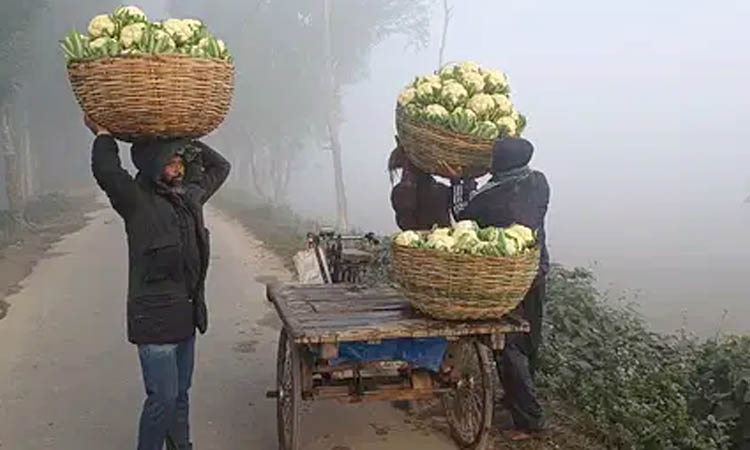 বরফের মতো ঠান্ডায় কাবু পঞ্চগড়