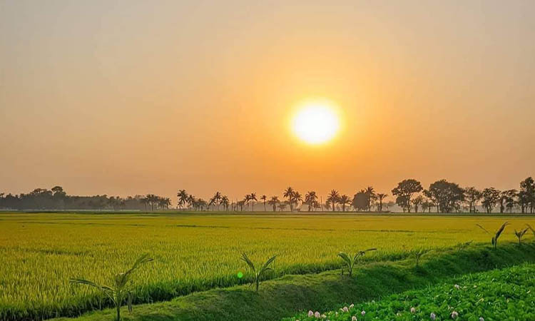 চুয়াডাঙ্গায় আজও বইছে মৃদু শৈত্যপ্রবাহ, তাপমাত্রা ৮ ডিগ্রিতে