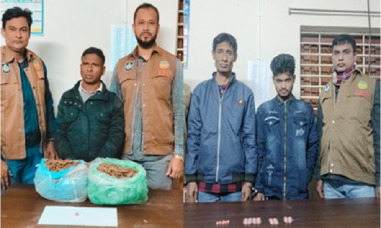 ২ কেজি গাঁজা, ইয়াবা ও ট্যাপেন্টাডল ট্যাবলেটসহ গ্রেপ্তার ৩