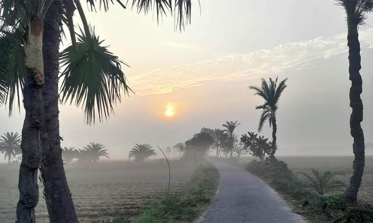 তাপমাত্রা বাড়লেও চুয়াডাঙ্গায় কমেনি শীতের তীব্রতা