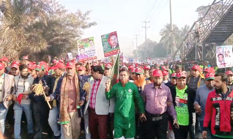বিজয় দিবস উপলক্ষ্যে সাভারে বিএনপির আনন্দ মিছিল