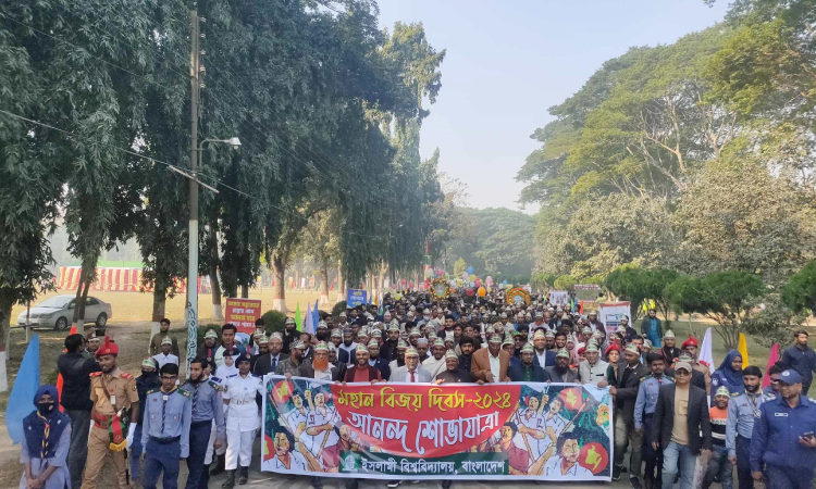 বিজয় দিবসে ইবিতে নানা আয়োজন