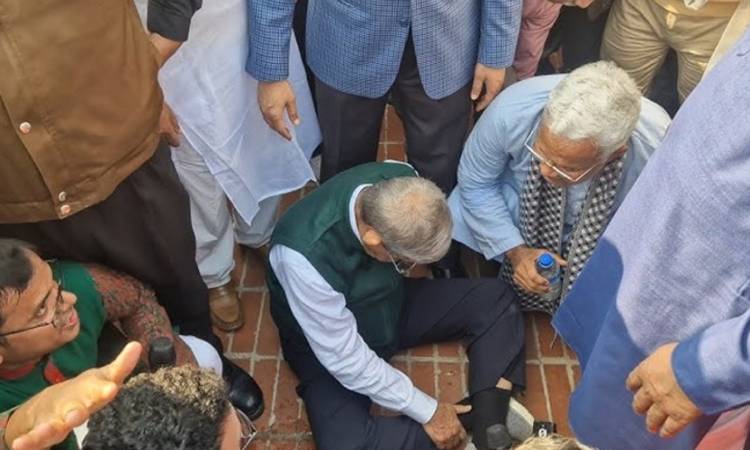 হাসপাতাল থেকে বাসায় ফিরলেন মির্জা ফখরুল