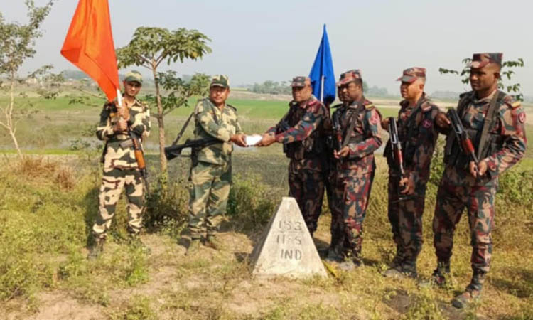 বিজয় দিবসে দৌলতপুর সীমান্তে বিএসএফকে মিষ্টি দিলেন বিজিবি