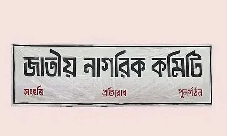 জাতীয় নাগরিক কমিটিতে যুক্ত হলেন আরও ৪০ জন