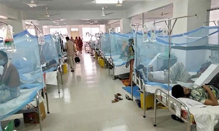 ডেঙ্গুতে একদিনে ২৩৬ জন হাসপাতালে, একজনের প্রাণহানি
